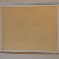 Image 2 of 1978 Spaulding & Roger’s production flash sheet skull snakes 11x14