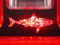 Image 4 of Shark brake tail light covers