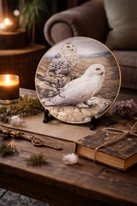 Image 2 of Trevor Boyer Owl Collector Plates – Pre-Loved Decor