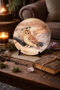 Image 3 of Trevor Boyer Owl Collector Plates – Pre-Loved Decor