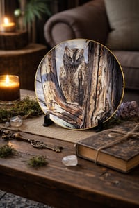 Image 5 of Trevor Boyer Owl Collector Plates – Pre-Loved Decor