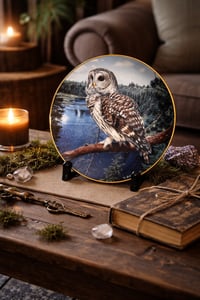 Image 7 of Trevor Boyer Owl Collector Plates – Pre-Loved Decor