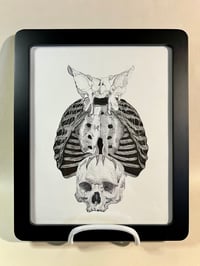 Image 1 of Bone Owl