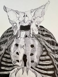 Image 2 of Bone Owl