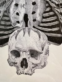 Image 3 of Bone Owl