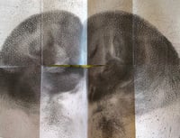 Image 4 of sinking beneath the soil