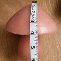 Image 4 of Mushroom Candle Collection 