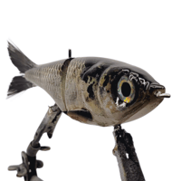 Image 2 of STG-2 (Natural Shad)