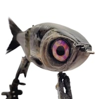 Image 2 of STG (Natural Shad)