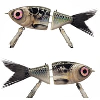 Image 1 of STG (Natural Shad)