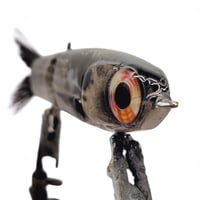 Image 2 of Sliver Glide (Natural Shad)