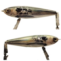 Image 1 of CreekWalker (Natural Shad)