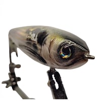 Image 2 of CreekWalker (Natural Shad)