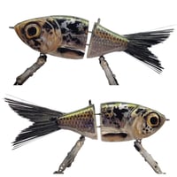 Image 1 of STG (HoloShad)