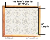 Image 3 of RnJ_SandDollar_Grey UnFramed Print