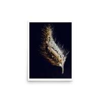 Image 3 of Feather Dance - Fine Art Reproduction Print