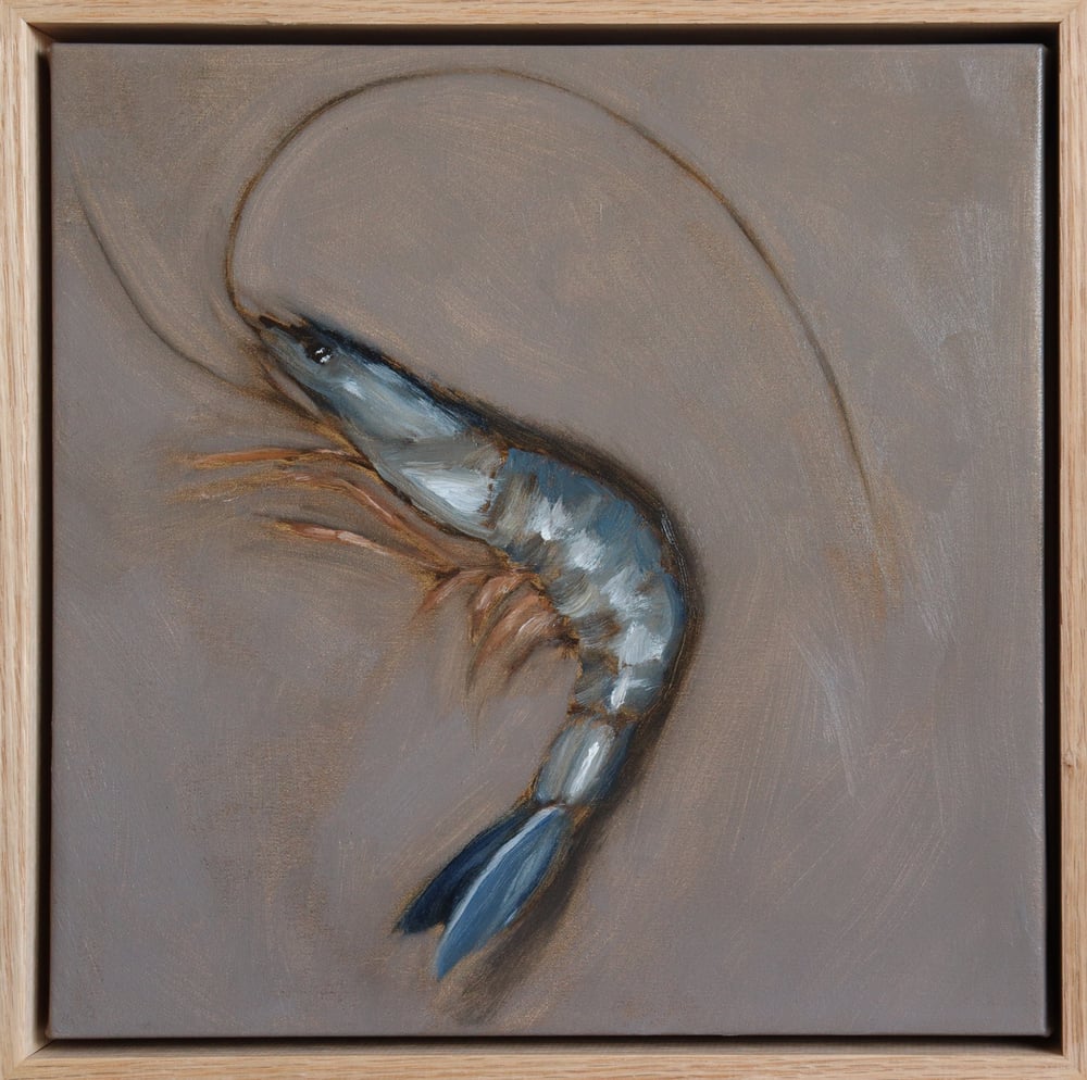 Image of Crevette bleue