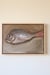 Image of Nature morte au vivaneau