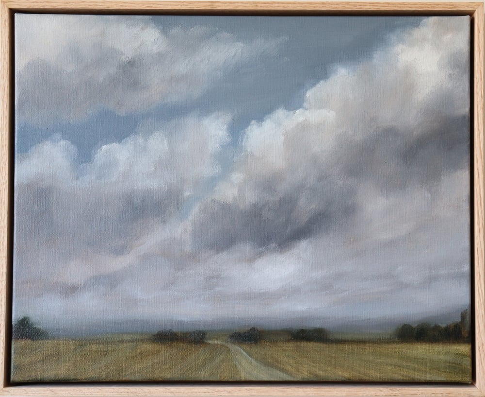 Image of Gros nuages sur la campagne
