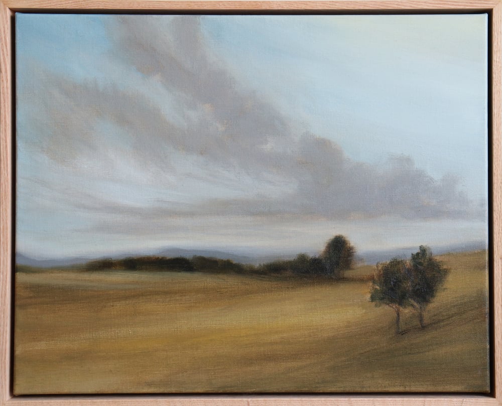 Image of Paysage de campagne avec des arbres