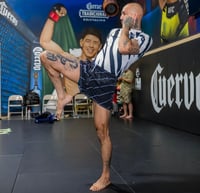 Image 3 of Stripes of Glory -training shorts