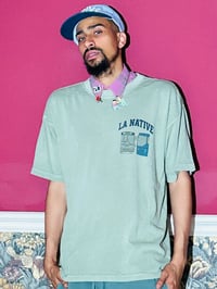 Image 2 of LA NATIVE Bus it