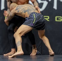 Image 4 of Stripes of Glory -training shorts