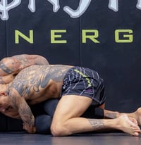 Image 6 of Stripes of Glory -training shorts