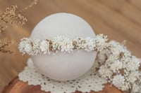 Image 1 of Newborn/Sitter Halo 312