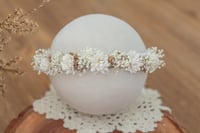 Image 4 of Newborn/Sitter Halo 312