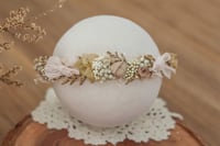 Newborn/Sitter Halo 317