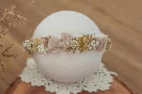 Newborn/Sitter Halo 318