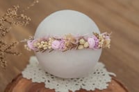 Newborn/Sitter Halo 319