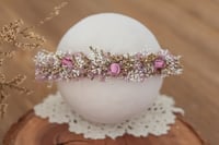 Newborn/Sitter Halo 320