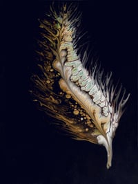 Image 1 of Feather Dance - Fine Art Reproduction Print