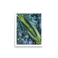 Image 3 of Feather With Flowers - Fine Art Print