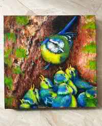 Image 1 of 🐤 'Blue tit and birdies' ✿ Γαλαζοπαπαδίτσα και πουλάκια