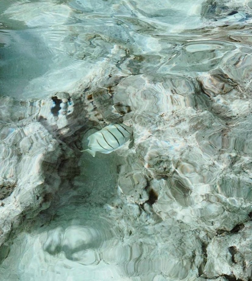 Image of RESERVED FOR RUAIRI #