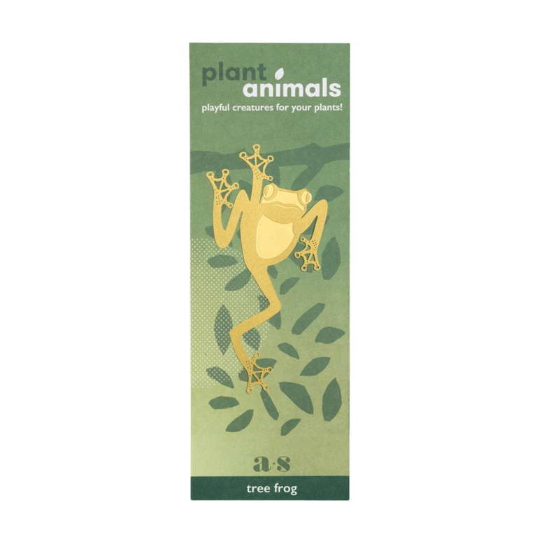 DÉCO ANIMAL POUR PLANTE - RAINETTE