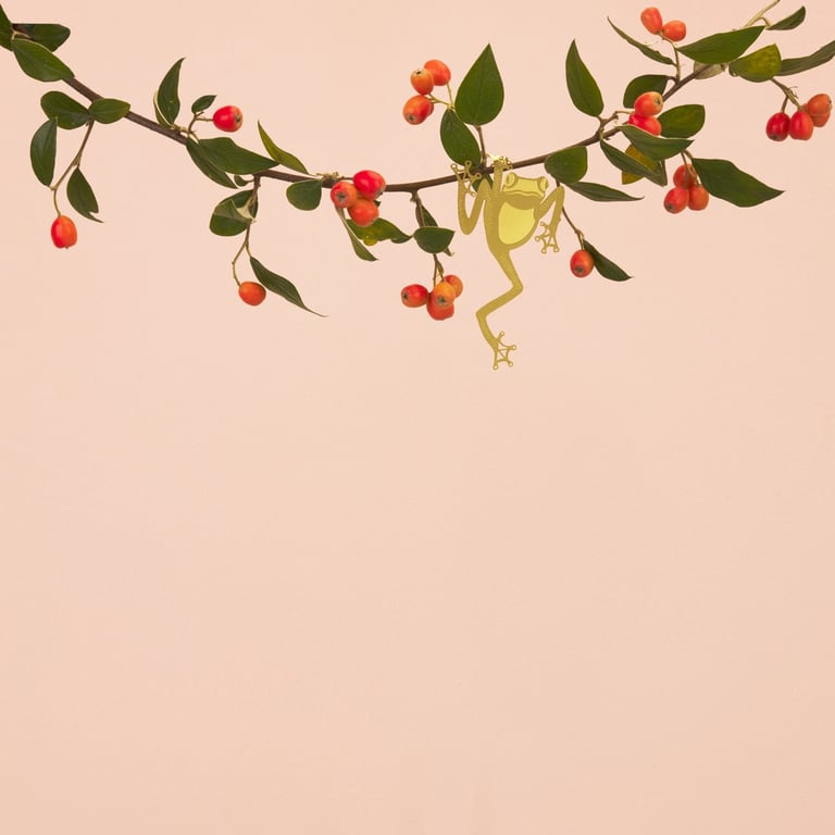 DÉCO ANIMAL POUR PLANTE - RAINETTE Image 2