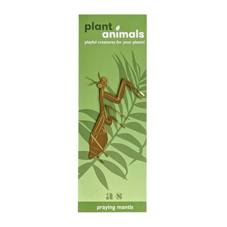 DÉCO ANIMAL POUR PLANTE - MANTE RELIGIEUSE