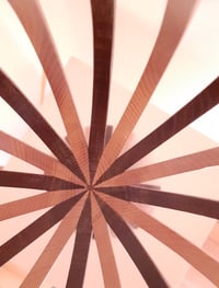 Image 3 of Tulipe : frêne clair et chêne fumé