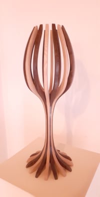 Image 4 of Tulipe : frêne clair et chêne fumé