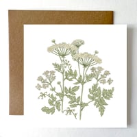 COW PARSLEY CARD