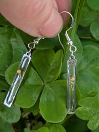 Image 1 of ROOTED Minimalist Earrings