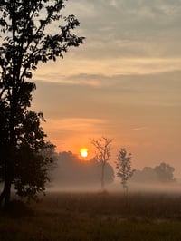 Image 3 of Painting Holiday - India - Tiger Tola 2026