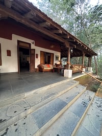 Image 6 of Painting Holiday - India - Tiger Tola 2026