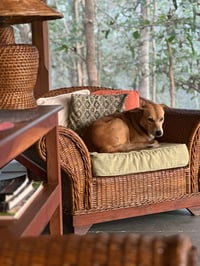 Image 7 of Painting Holiday - India - Tiger Tola 2026