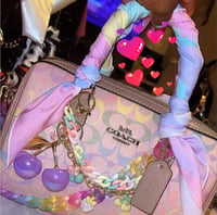 Coach 🌈 Imagination Purse