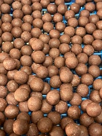 15mm octopus & squid pop ups 